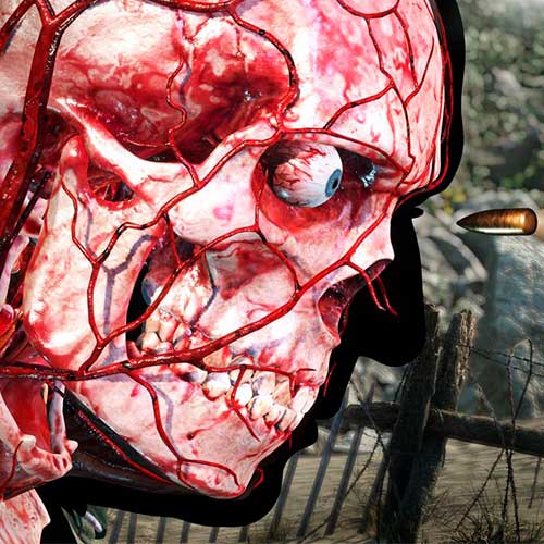 Sniper Elite 5 Deluxe Edition Cd Key Steam Europe